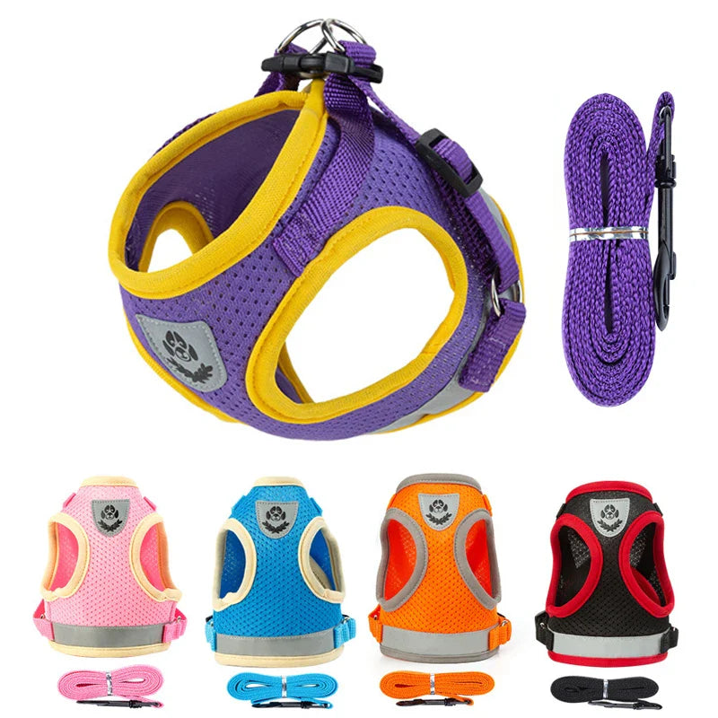 Puppy Harness and Leash Set for Small Dogs-0