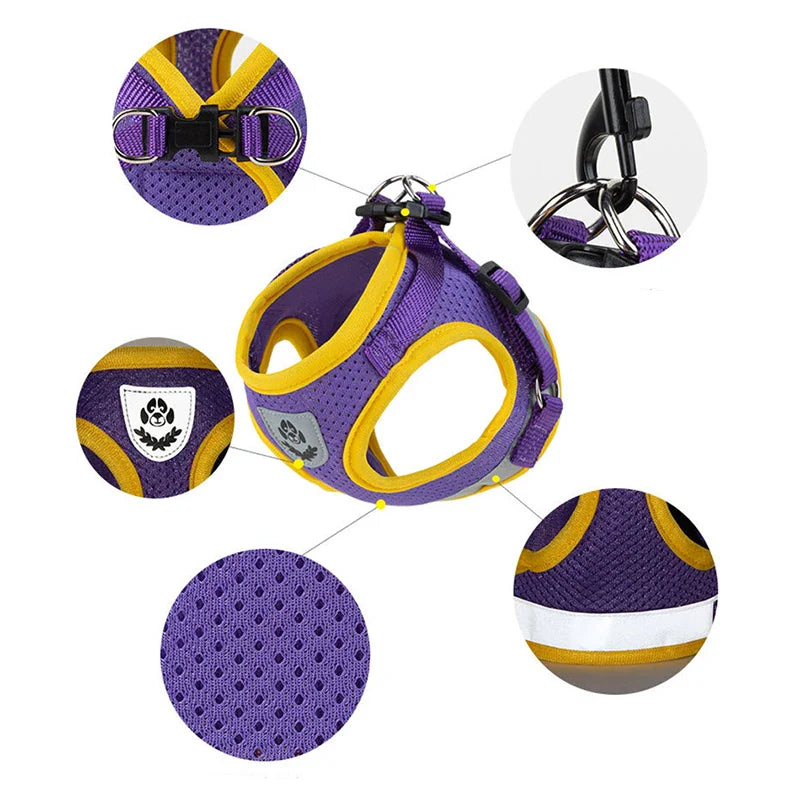 Puppy Harness and Leash Set for Small Dogs-1