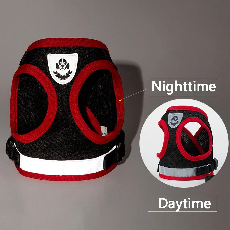 Puppy Harness and Leash Set for Small Dogs-2