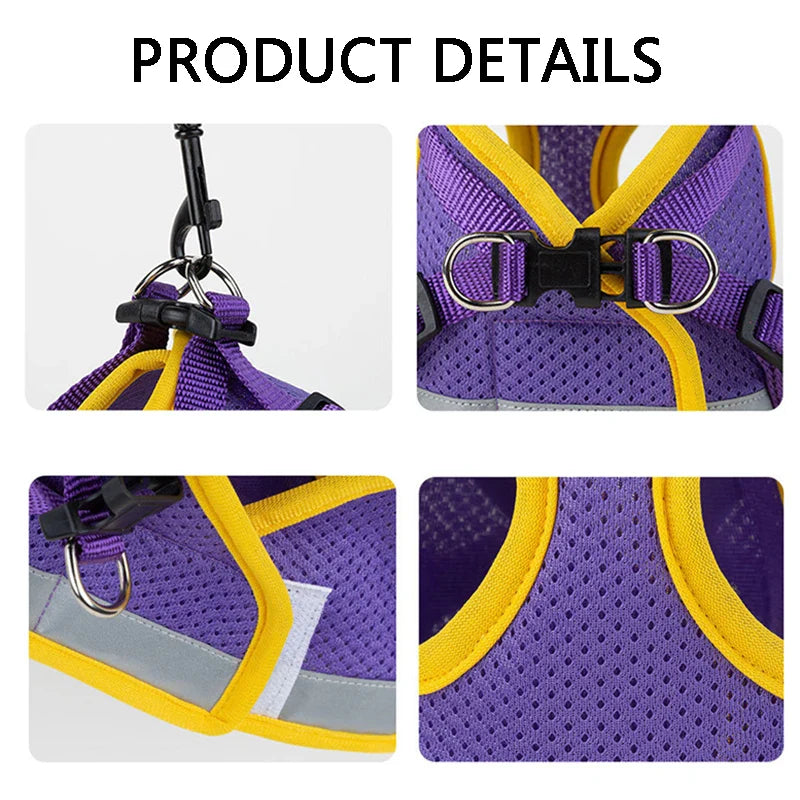 Puppy Harness and Leash Set for Small Dogs-3