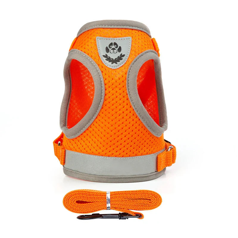 Puppy Harness and Leash Set for Small Dogs-7