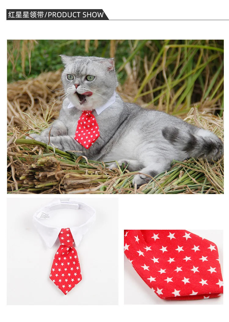 Formal Necktie