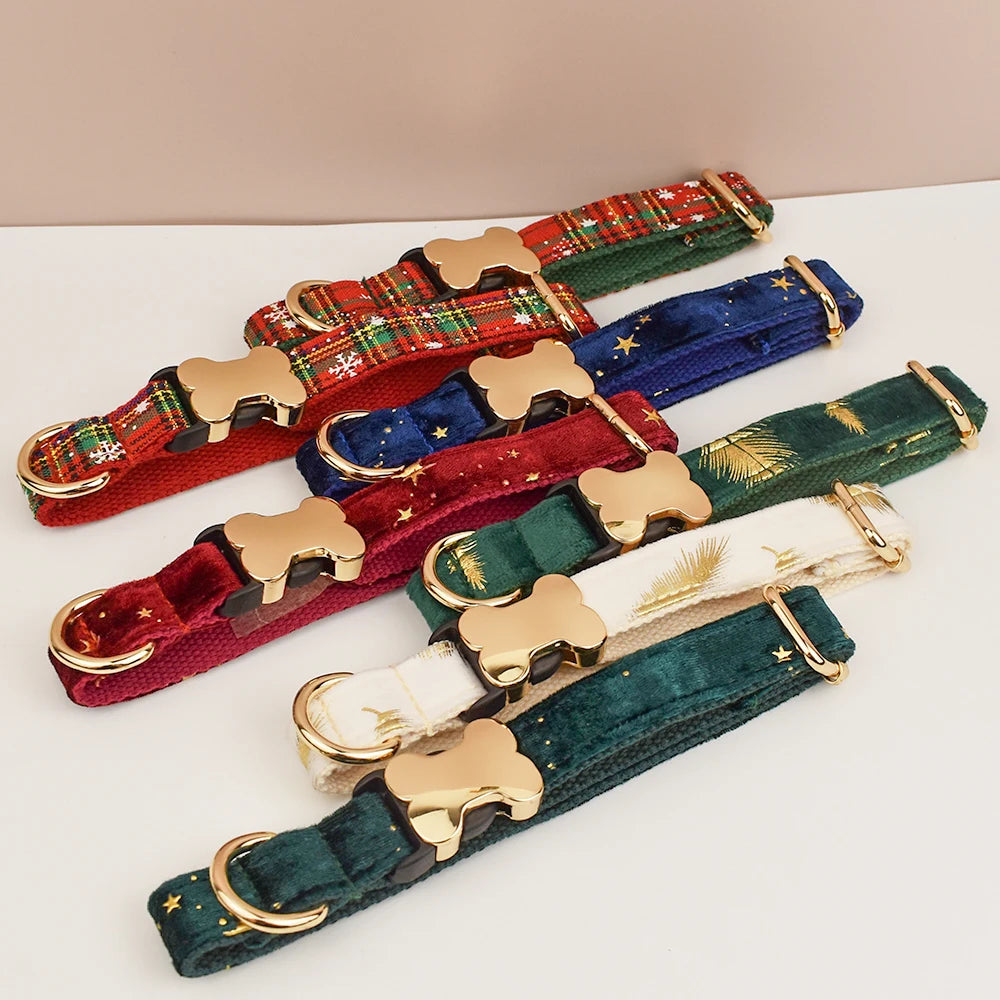 Dog Collar with Engraved Nameplate