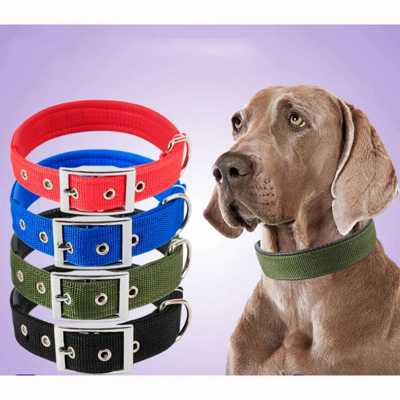 Nylon Solid Colour Collar