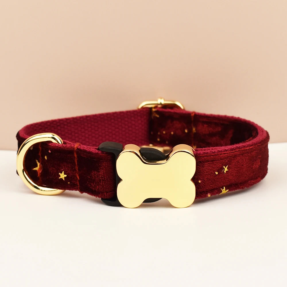 Dog Collar with Engraved Nameplate