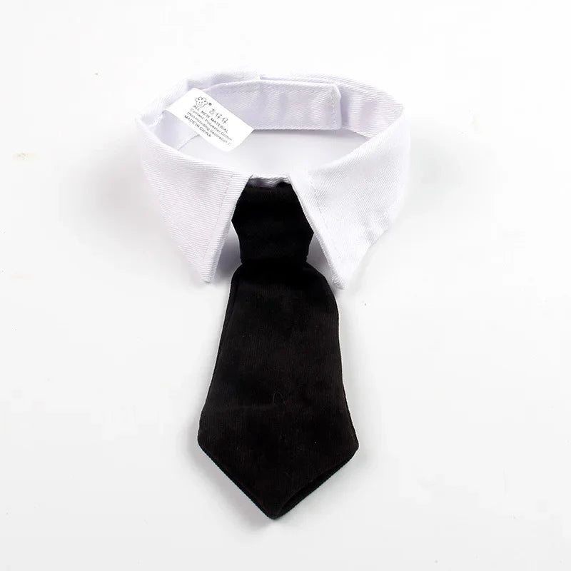 Formal Necktie