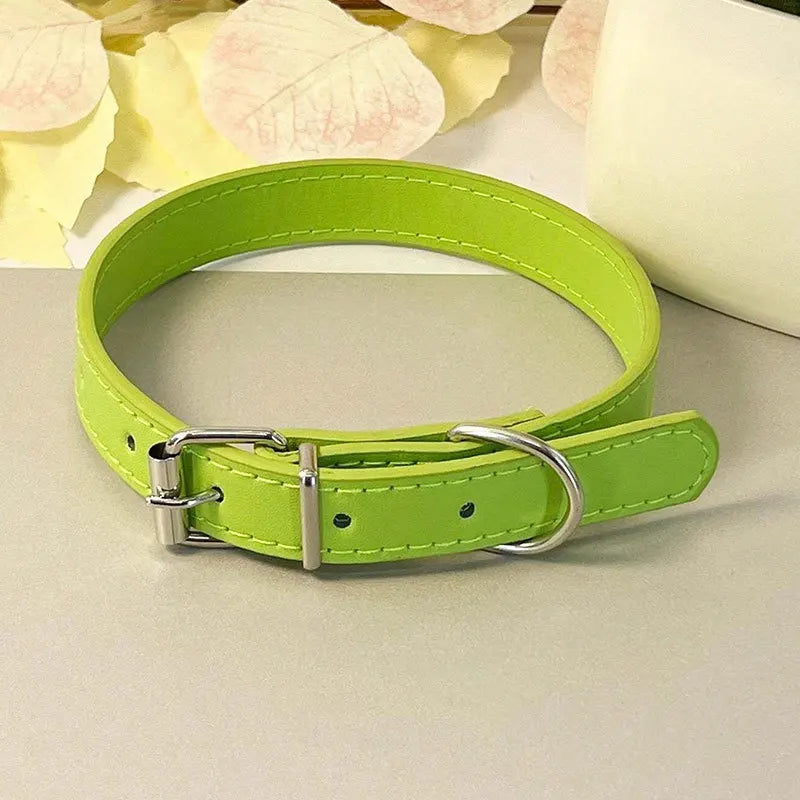 Colourful Collar for Small Dogs