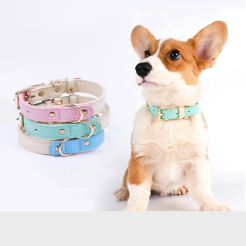 Premium Leather Small Dog Collar