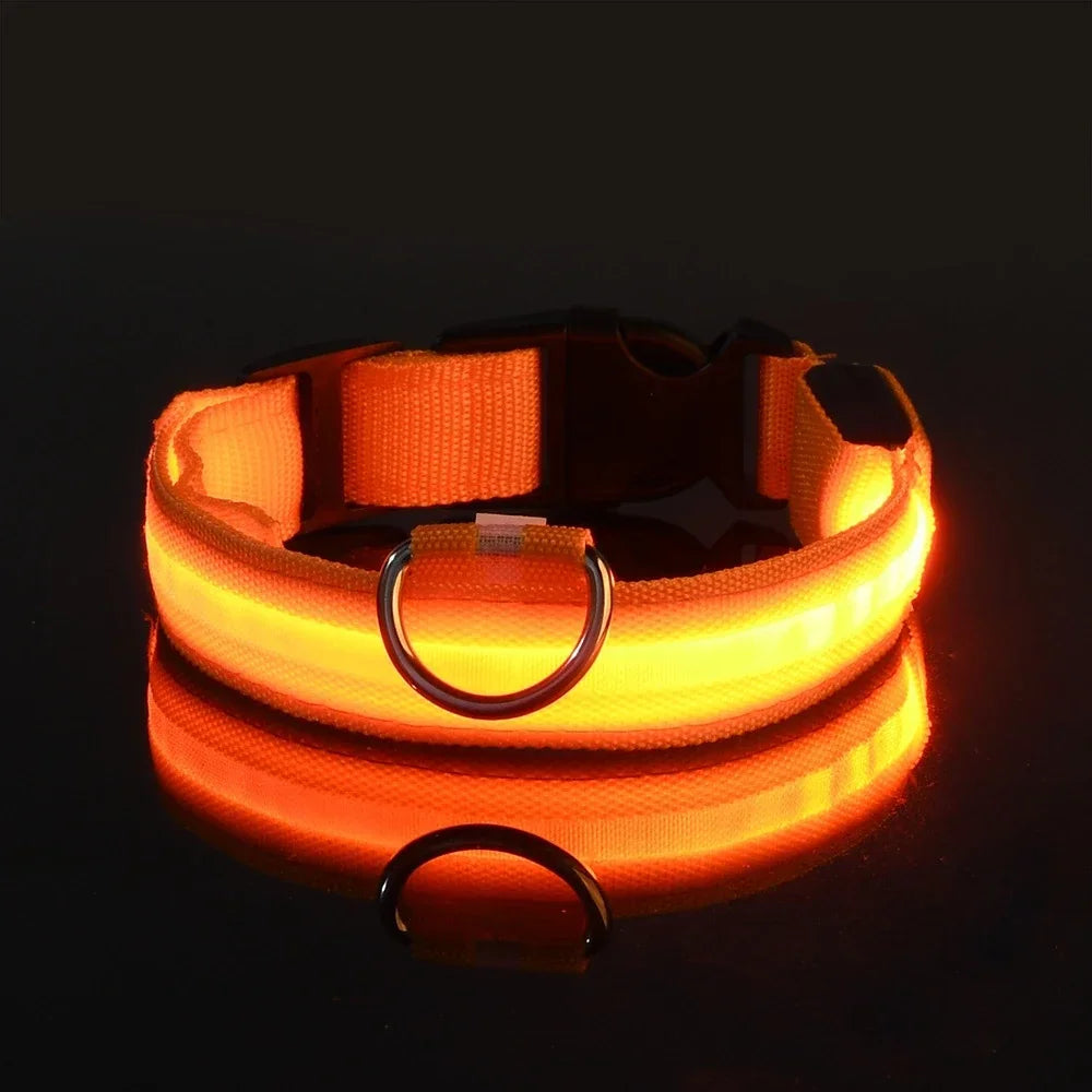 Flashing Nylon LED Collar