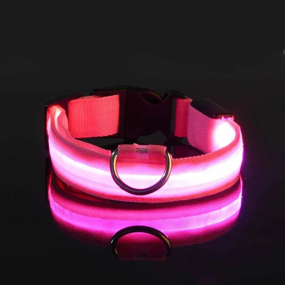 Flashing Nylon LED Collar