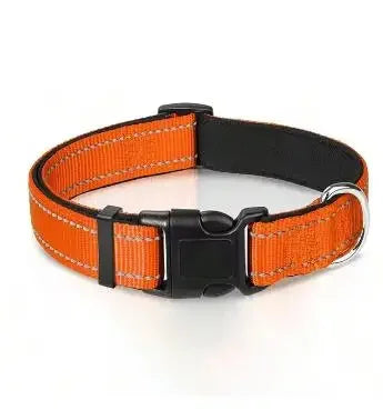Reflective Padded Nylon Dog Collar