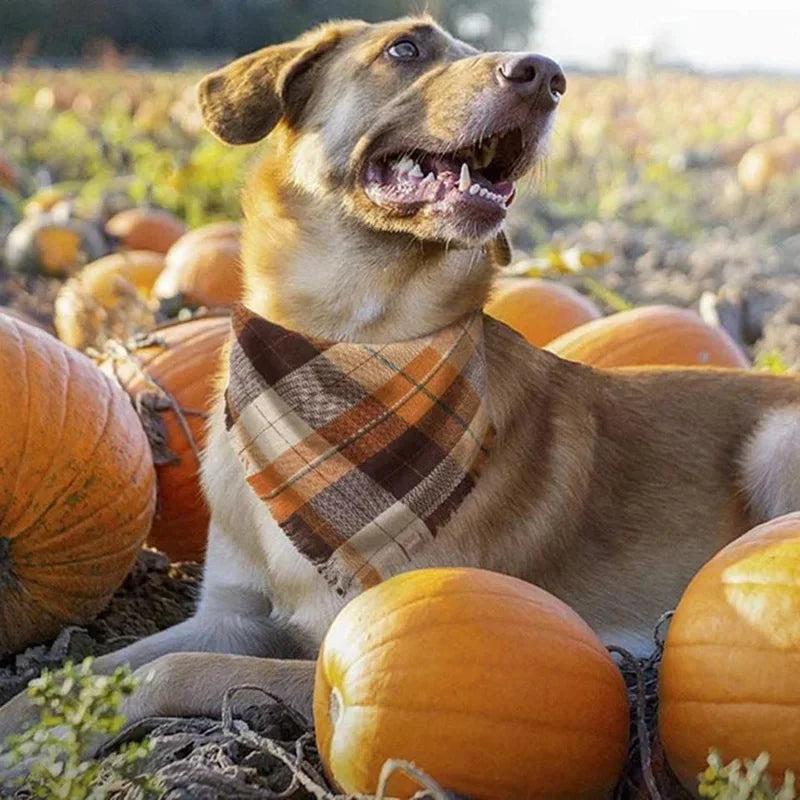 Classic Chequered and Tartan Tasselled Bandanas