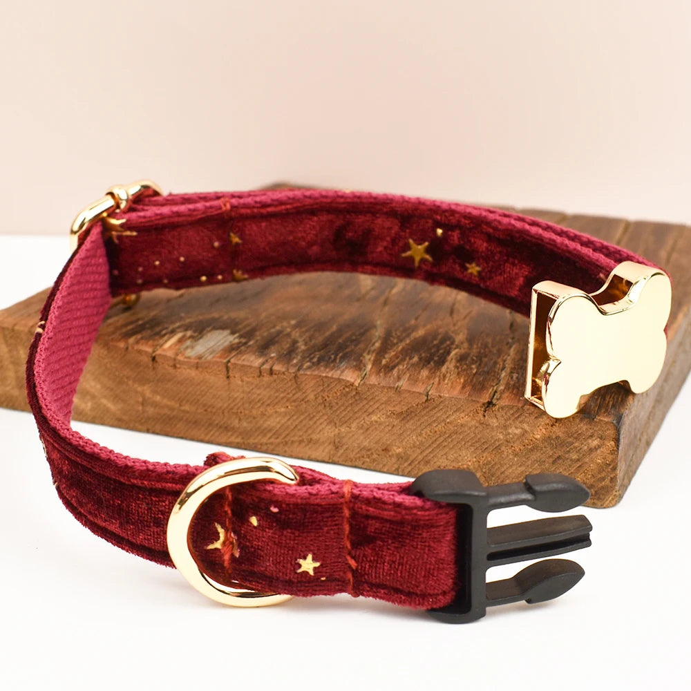 Dog Collar with Engraved Nameplate