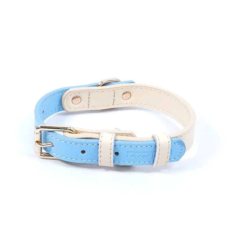 Premium Leather Small Dog Collar