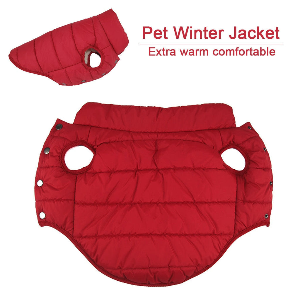 NBNEOBA Winter Pet Coat Clothes for Dogs-1
