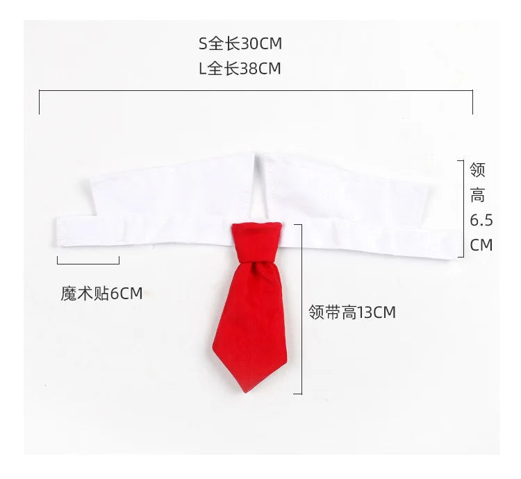 Formal Necktie