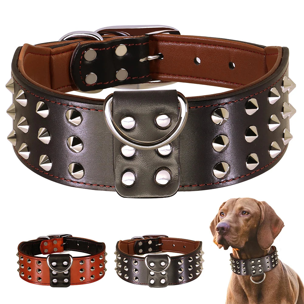 Genuine Leather Studded Collar