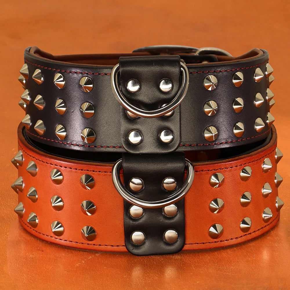 Genuine Leather Studded Collar