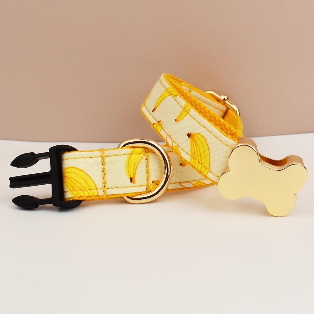 Dog Collar with Engraved Nameplate