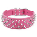 Skull and Crossbones Studded Collar