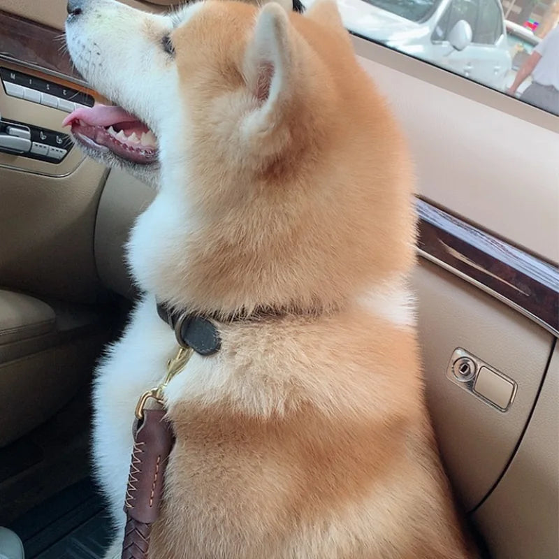 EIght-strand Braided Leather Collar