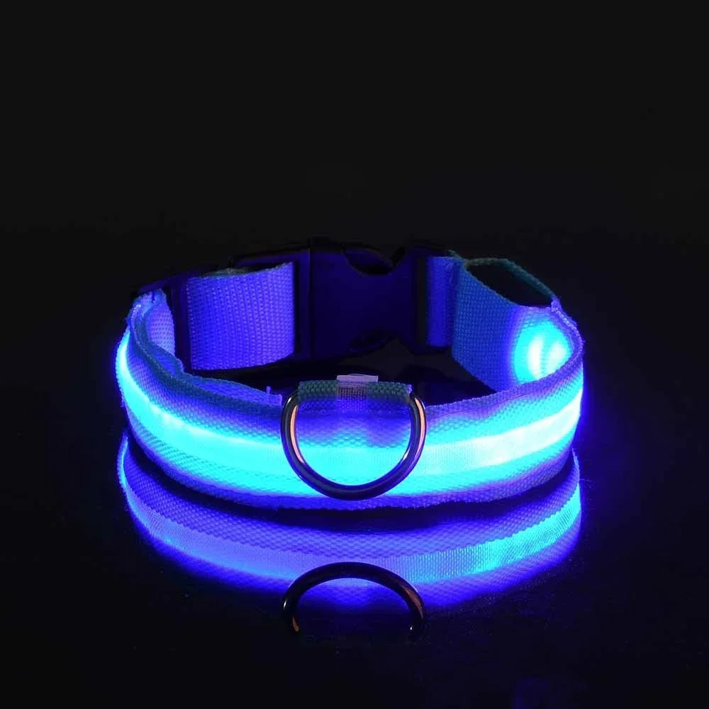 Flashing Nylon LED Collar