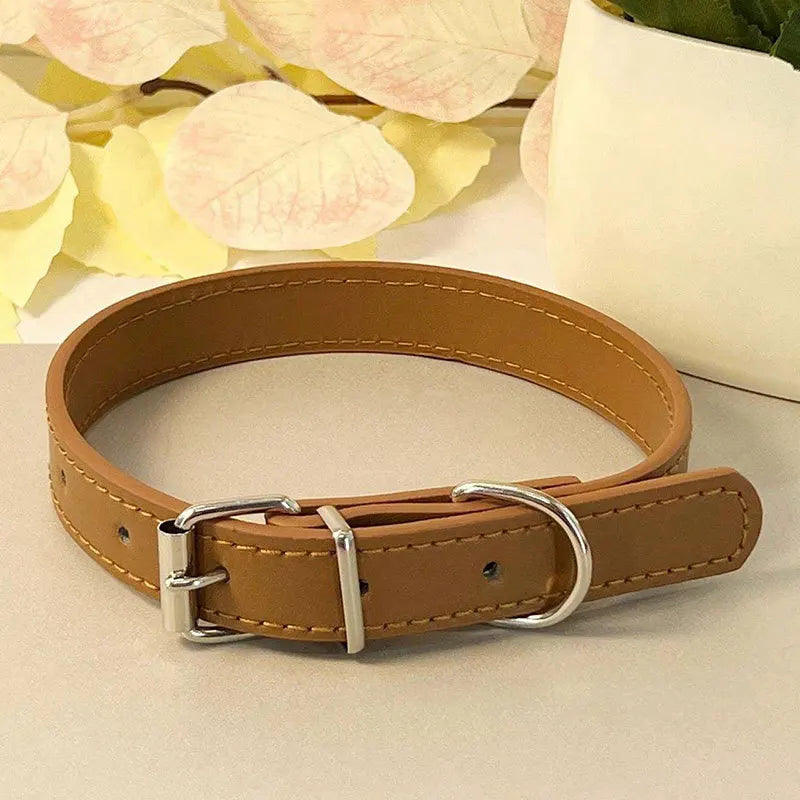 Colourful Collar for Small Dogs