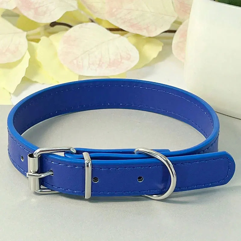 Colourful Collar for Small Dogs