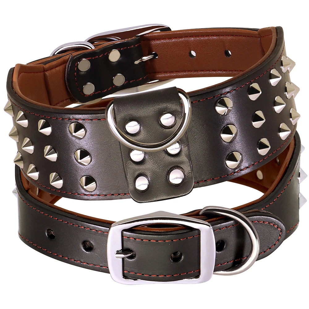 Genuine Leather Studded Collar