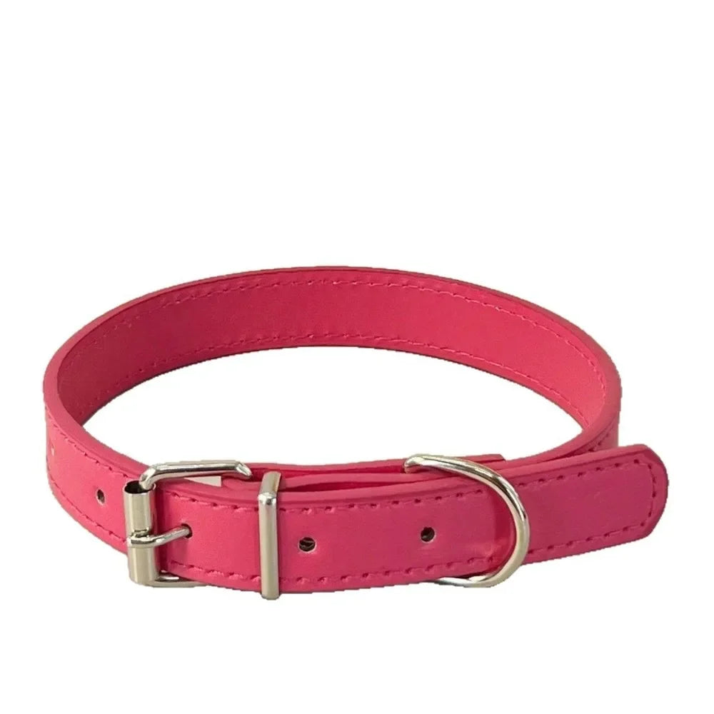 Colourful Collar for Small Dogs