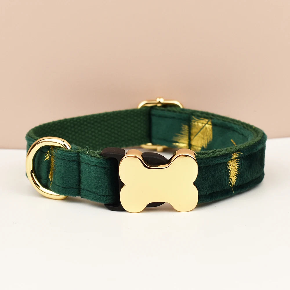 Dog Collar with Engraved Nameplate
