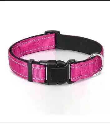 Reflective Padded Nylon Dog Collar