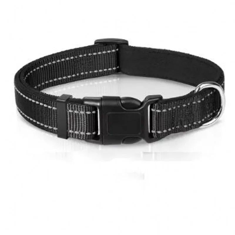 Reflective Padded Nylon Dog Collar