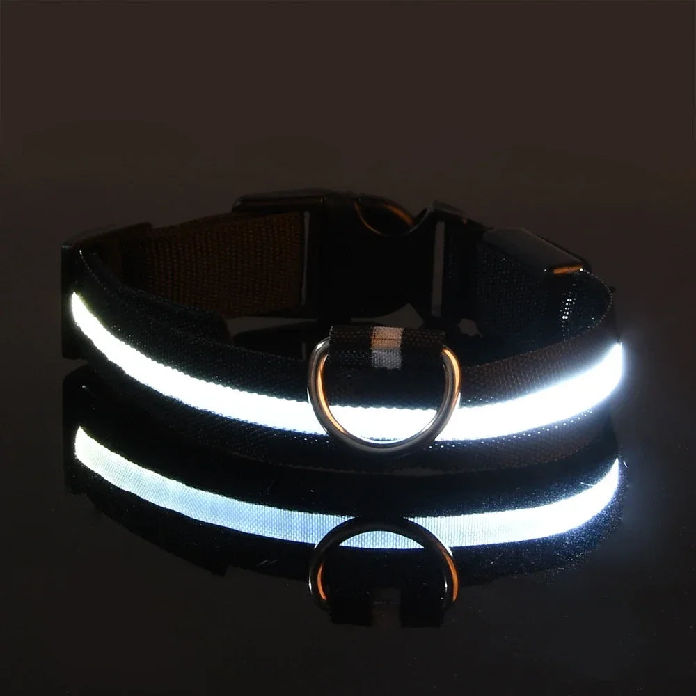 Flashing Nylon LED Collar