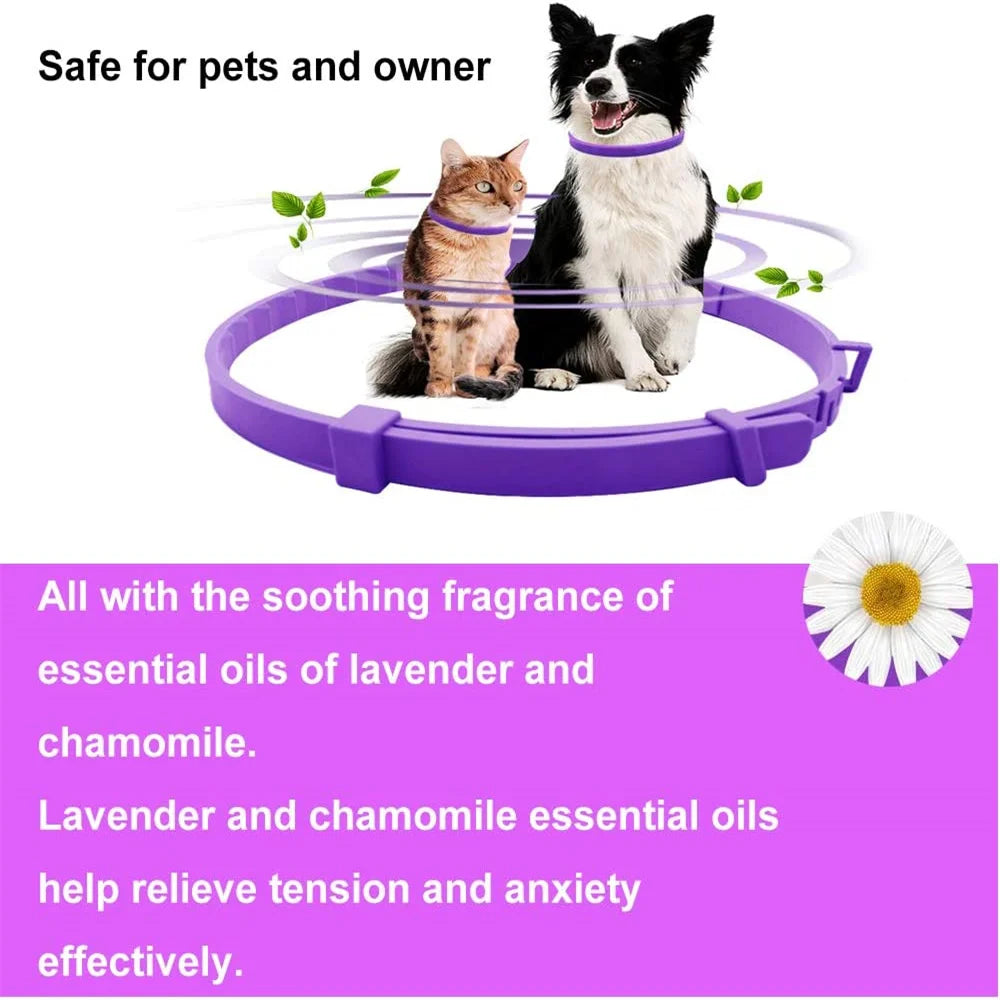 Calming Pheromone Infused Collar