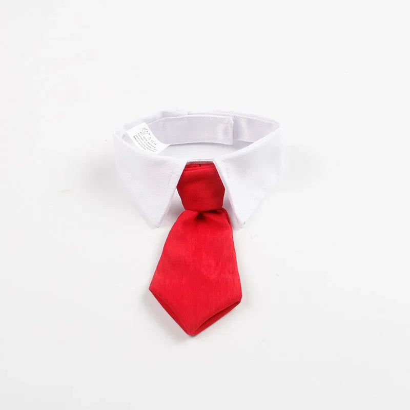 Formal Necktie