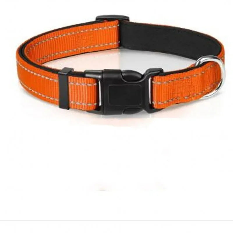 Reflective Padded Nylon Dog Collar
