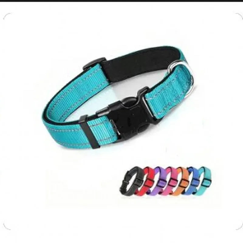 Reflective Padded Nylon Dog Collar