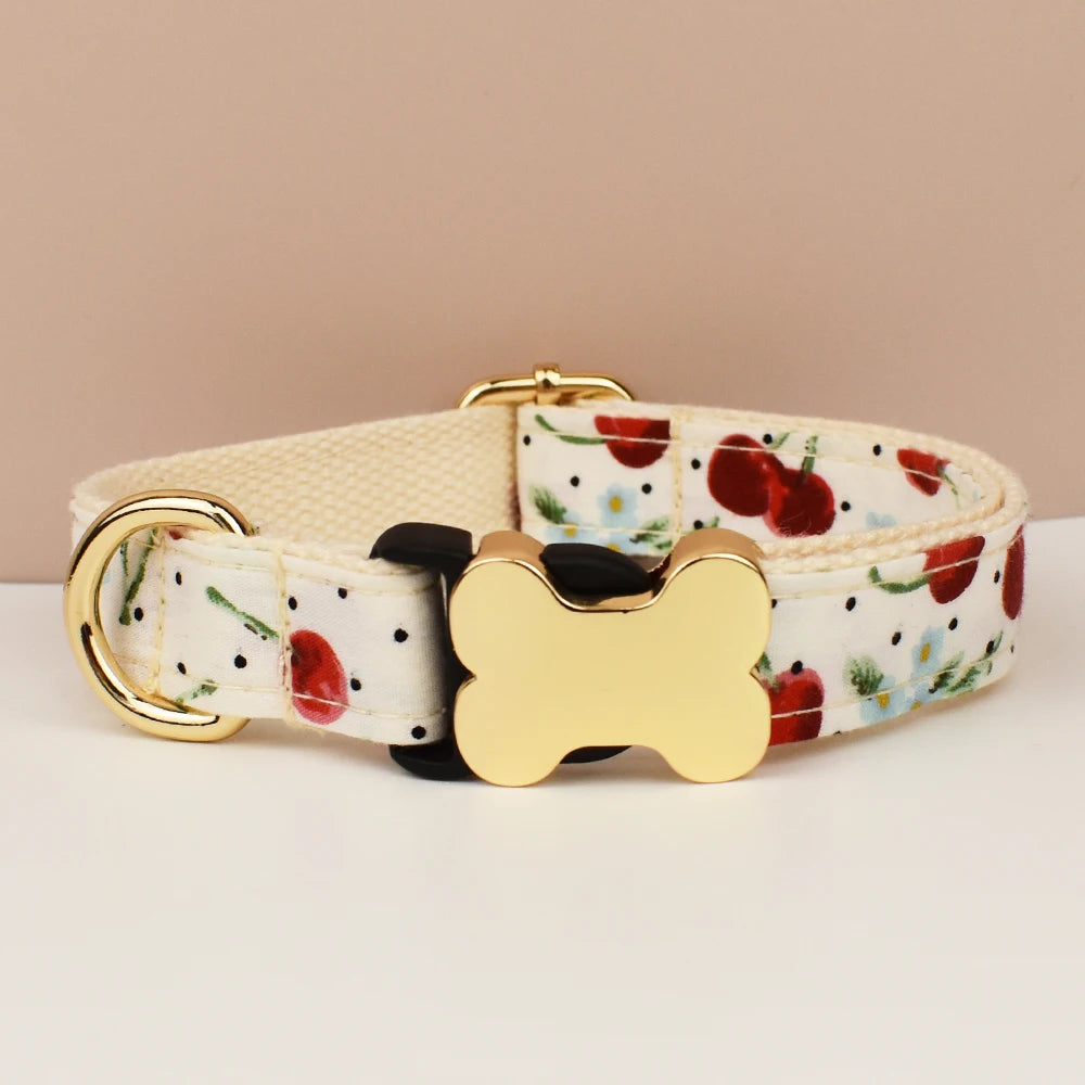 Dog Collar with Engraved Nameplate