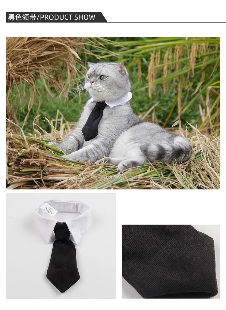 Formal Necktie