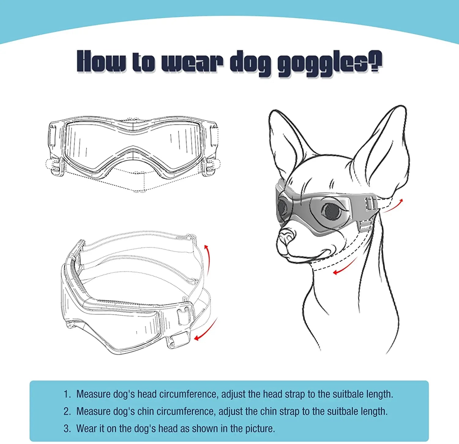 Protective Goggles