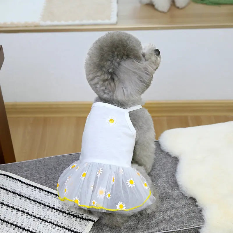 Cute Dress for Small Dogs