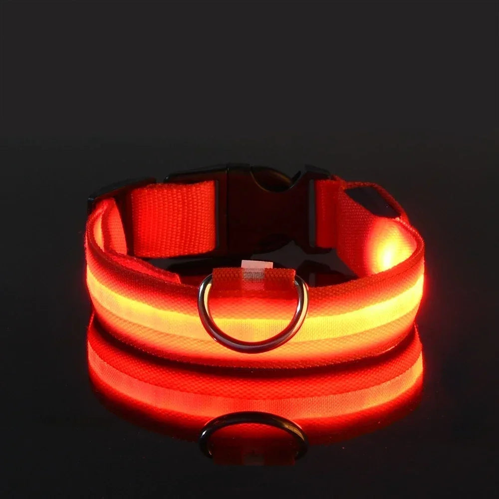 Flashing Nylon LED Collar