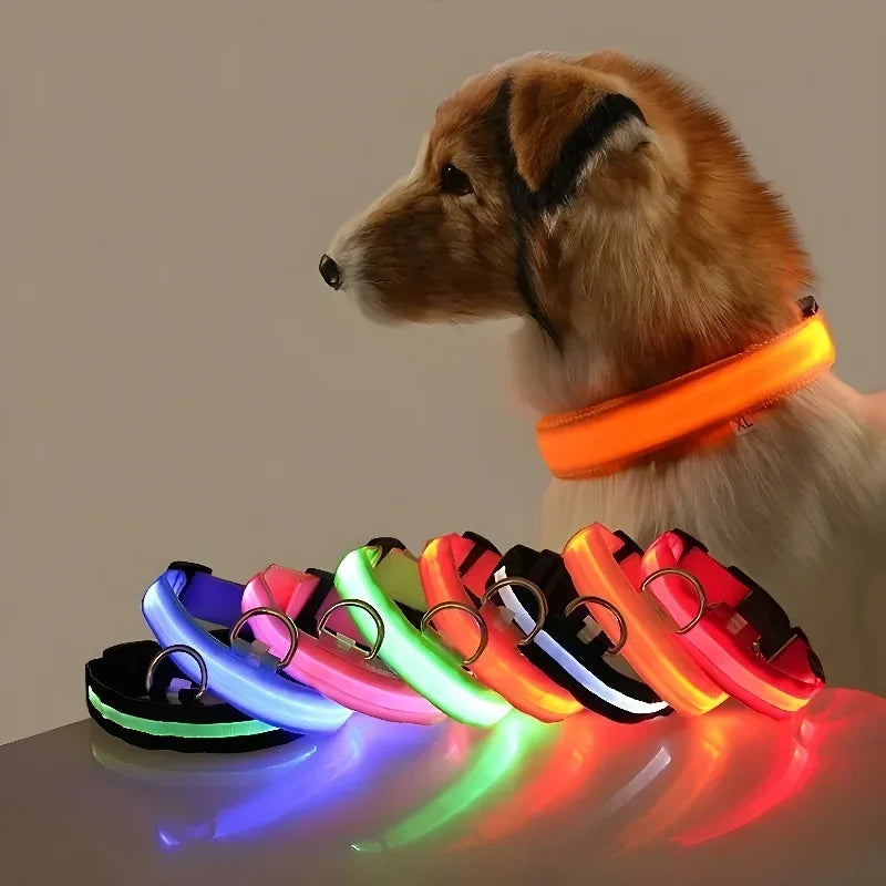 Flashing Nylon LED Collar