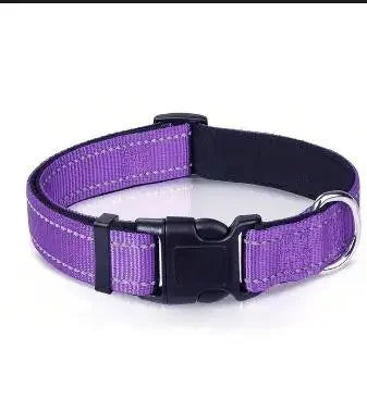 Reflective Padded Nylon Dog Collar