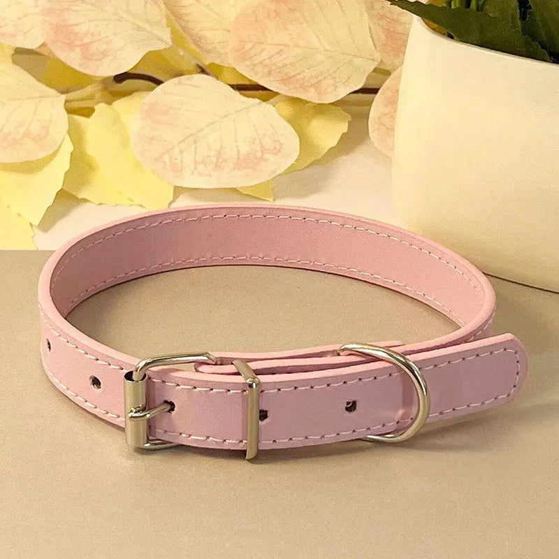 Colourful Collar for Small Dogs