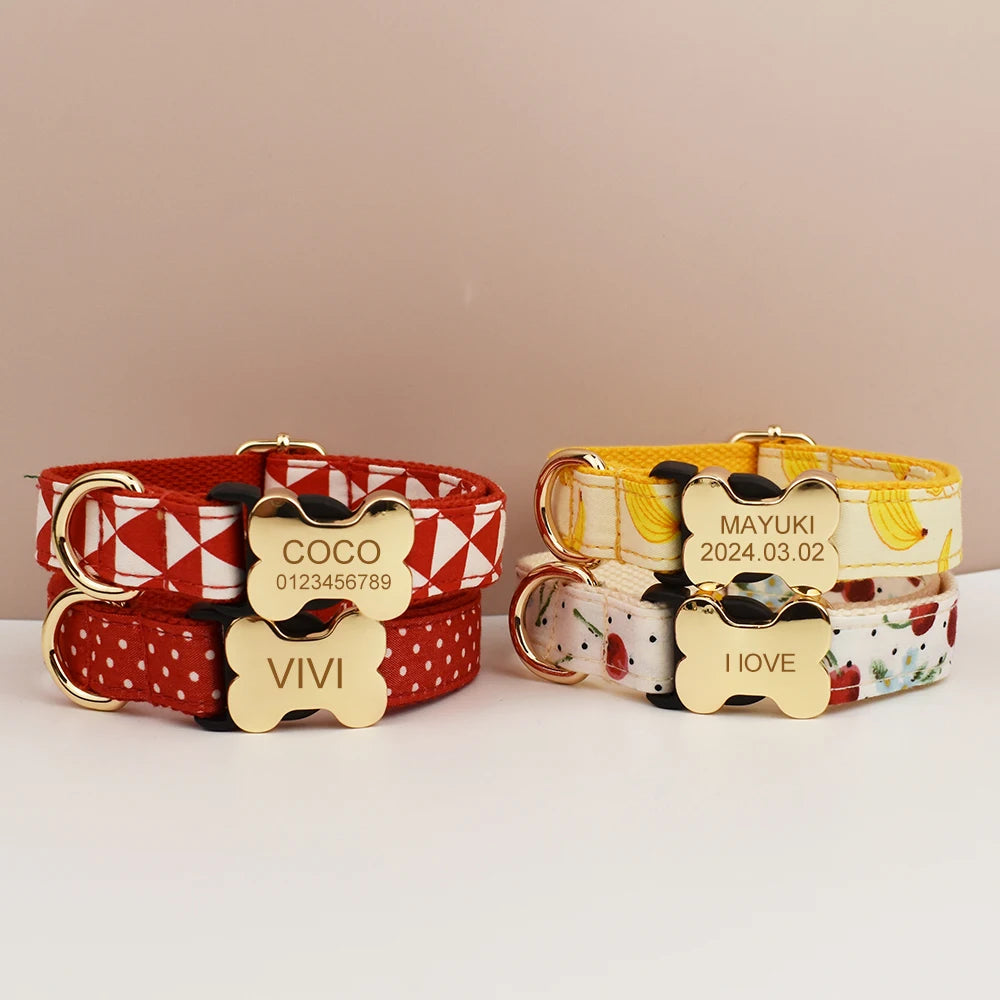 Dog Collar with Engraved Nameplate