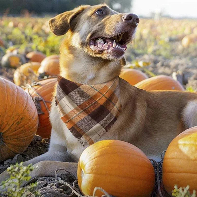 Classic Chequered and Tartan Tasselled Bandanas