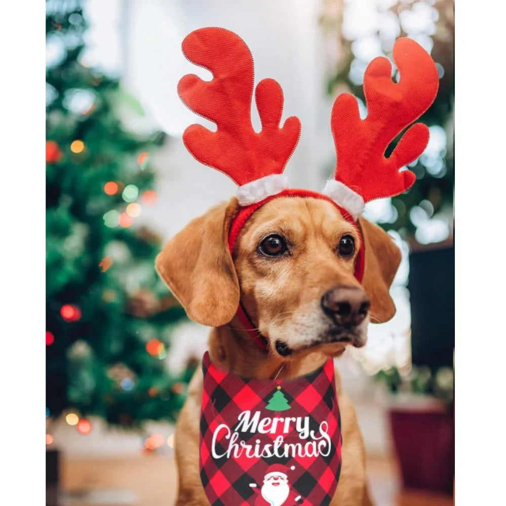 Christmas Bandanas