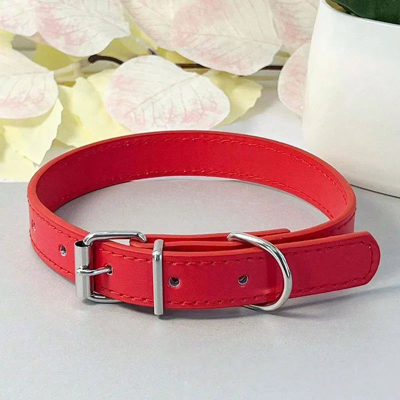 Colourful Collar for Small Dogs